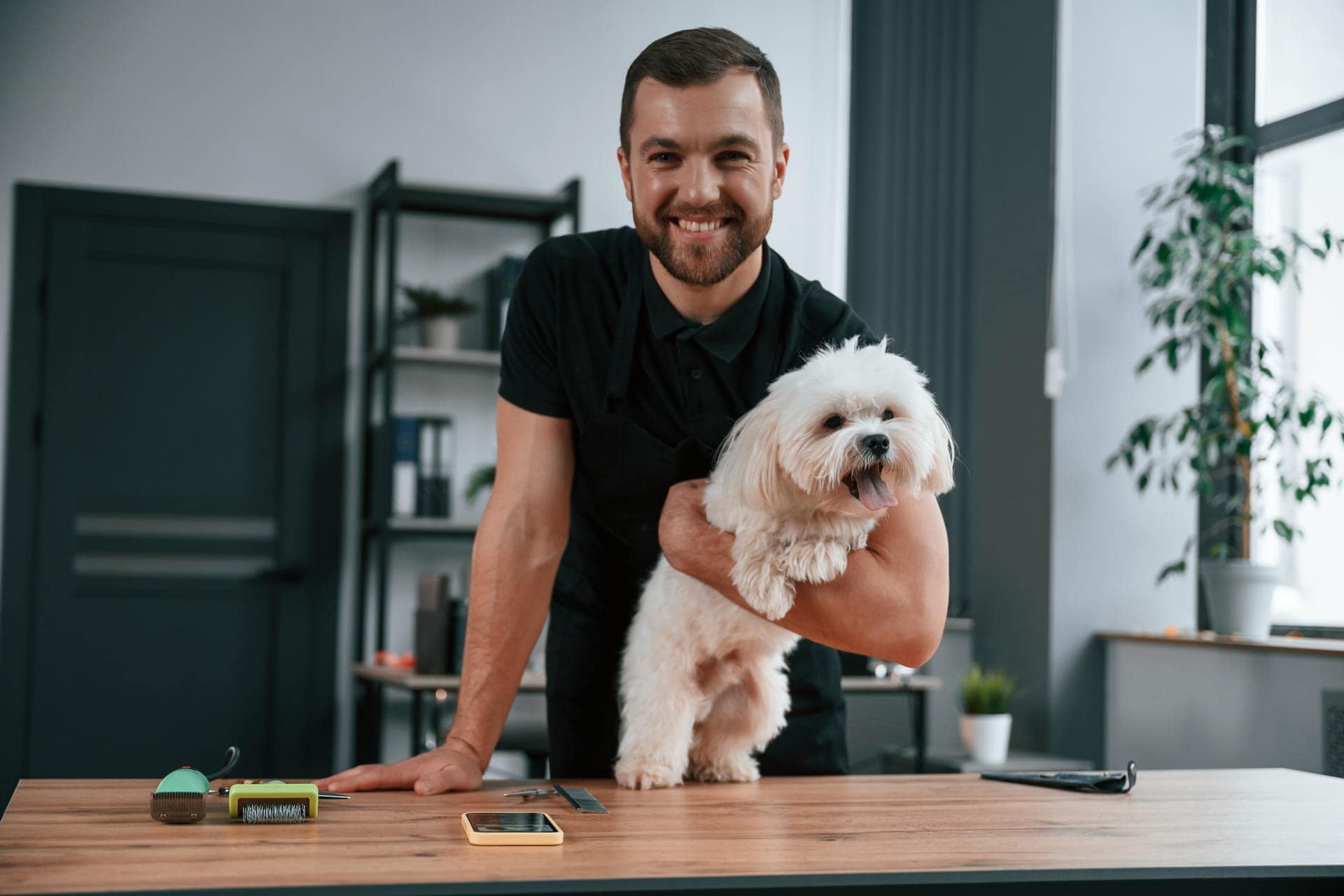 Blog 1 dog grooming businesses